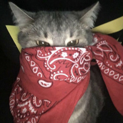 CH.