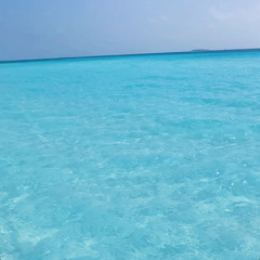 ☼