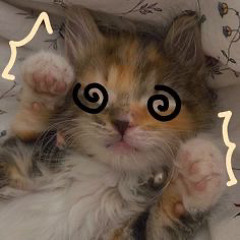 ♡