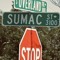 Jcfrumda3100: :