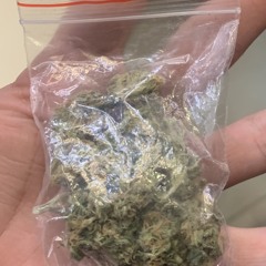 mi pazve doctouni cmepty