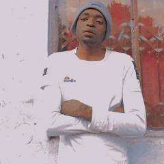 Flvmeskid