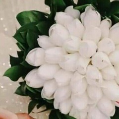 Shimaa Elsayed