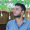 Nabeel