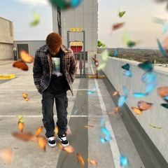 sunny.img