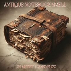 An Artist Named FLIZZ