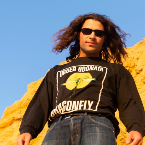 Goasis artist photo