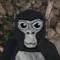 SoundMonke