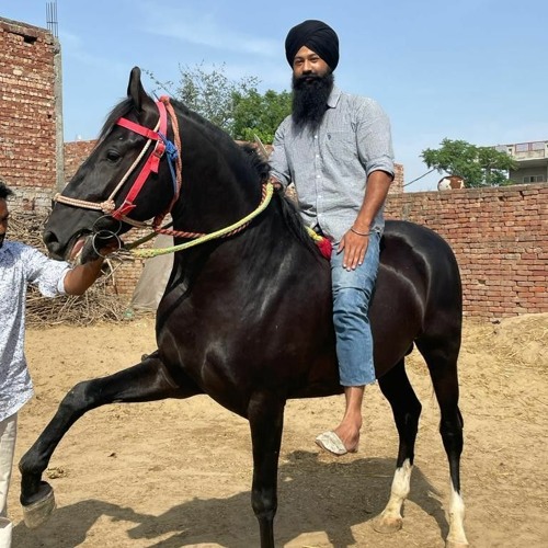 Singing _ Rehras Sahib With Meanings _ Dodra Samagam(M4A_128K).m4a