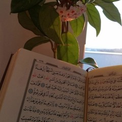فاطِمة ")