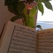 فاطِمة ")