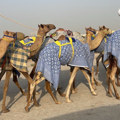M7-ALSUWAIDI