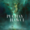 Puchay hawci