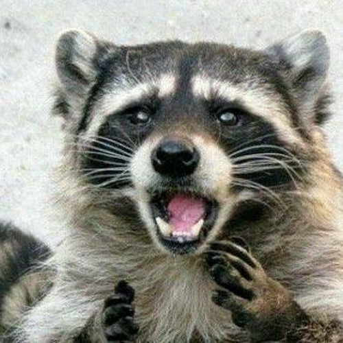 강철의 레지스탕스