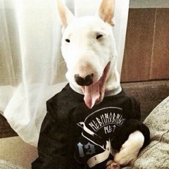 Шакал