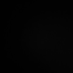 Diego Badillo Morales