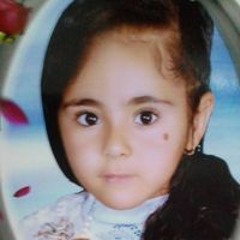 Fatma Fekry