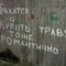 Виталий Тесля