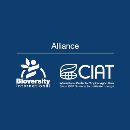 Stream Alliance Of Bioversity International And CIAT | Listen To ...