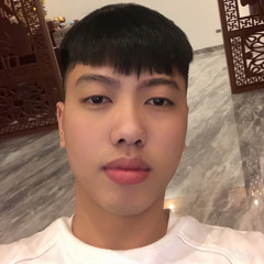 Luu Hoang Duy✈️