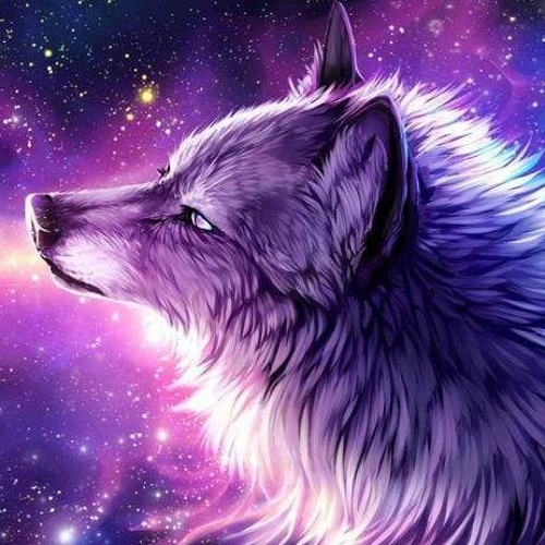 wolfy baby’s avatar