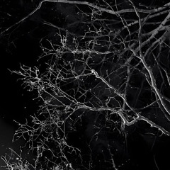 𝕾𝖙𝖊𝖕𝖎𝖗𝖘