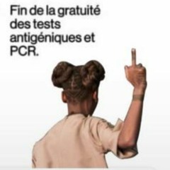 L '  ARISTO .