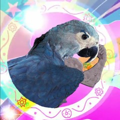MightyMacaw