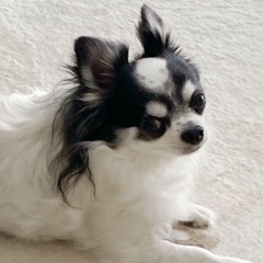 machi