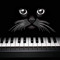 CatPlaysMusic