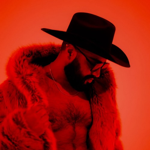 Chapell Roan - Pink Pony Club (Tech House Remix)