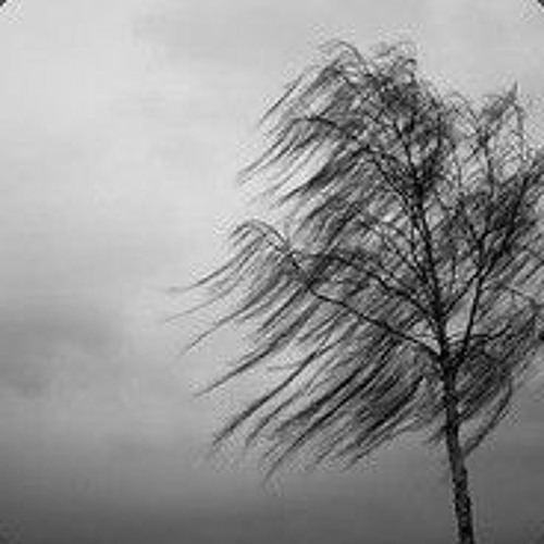 Dancing like we're dumb Body Going Numbb