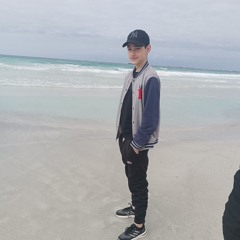 محمد ليث طرابيشي