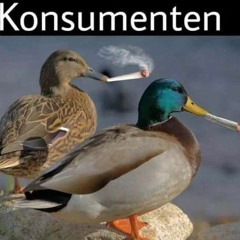 ÐoRscH¡¡