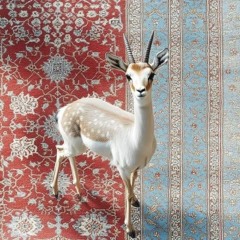 سَـارَّه 🍒