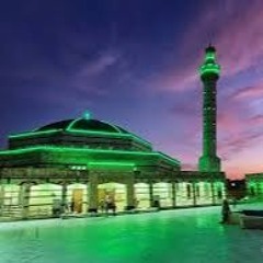 محمد الحموي