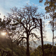 prayag