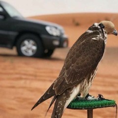 يقنعوني بغيابك - ريمكس ( DJVICKNIK)
