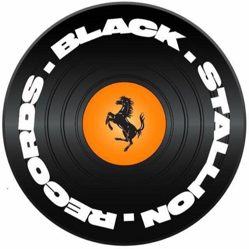 Black Stallion Records’s avatar