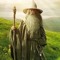 lil wizzy aka lil wizard