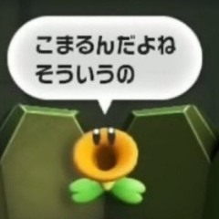 恵胡