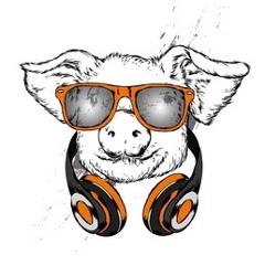 PerfectPig 🐽