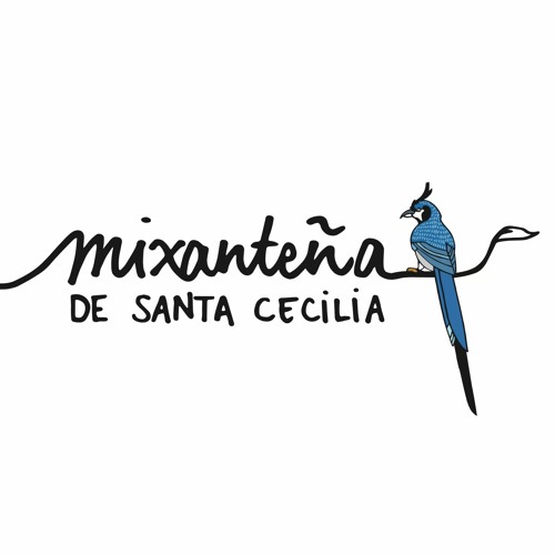 Mixanteña de Santa Cecilia’s avatar