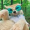 FrfrFox