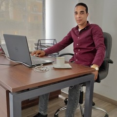 Bassem R. Elabady