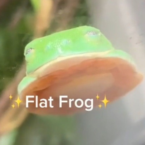 Froggie’s avatar
