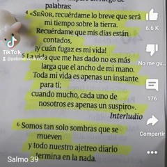 José albeiro Morales arias