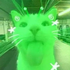 Fantasma Loko (✝𝔏𝔲𝔳𝔄𝔡𝔯𝔦𝔞𝔫✝)