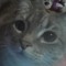saige