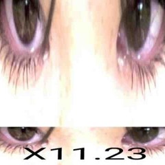 sh1sh4plvgg